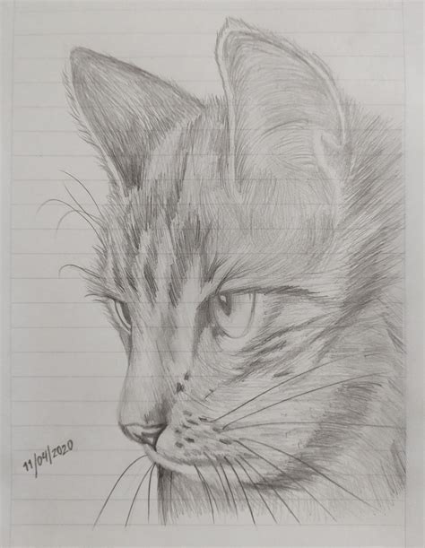 Dibujo de Gato a lápiz Ojos de gatos dibujos Dibujo gato facil