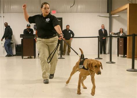 Tsa Offers Look At San Antonio K9 Explosives Training Center