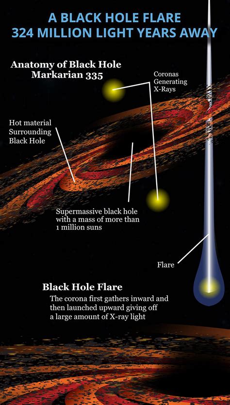 Nasa Spots A Black Hole Flare 324 Million Light Years Away Infographic