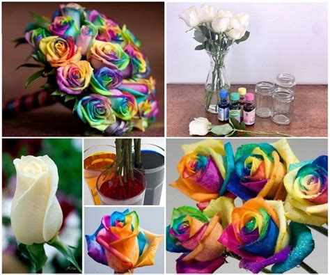 How To Make A Rainbow Rose With Pictures Artofit