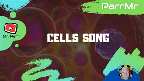 Cells Song Youtube