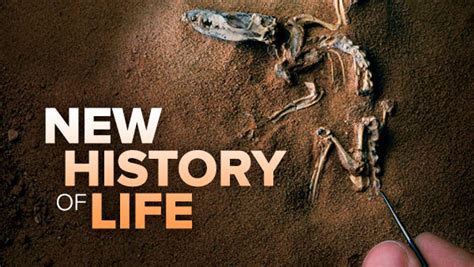 History Of Life On Earth Understanding The Origins Of Life Wondrium