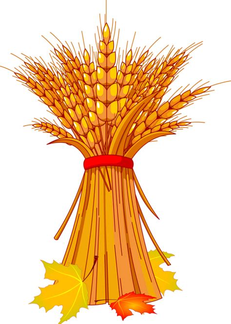 Grain Harvest Clipart 20 Free Cliparts Download Images On Clipground 2024