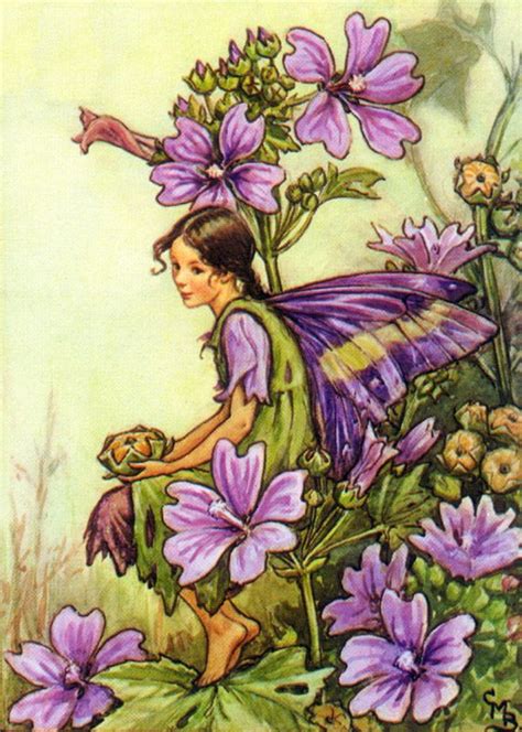 Purple Fairy Vintage Artwork Flower Fairies Fairy Vintage Cicely