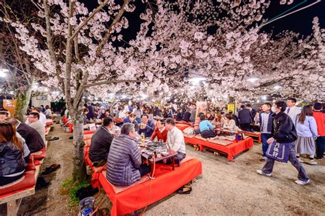 2018 Cherry Blossoms Are Early But You Can Still Do Last Minute Hanami