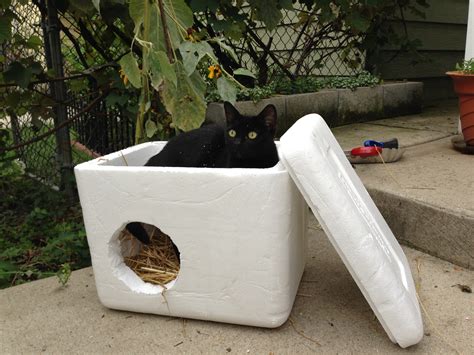 Quick And Easy Ideas For Low Cost Outdoor Cat Shelters Cats In My Yard
