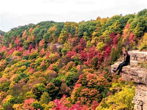 11 Best Places To See Fall Colours In Ontario Walkaboot