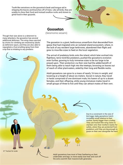 The Gooseton A Giant Herbivorous Anseriform Speculativeevolution