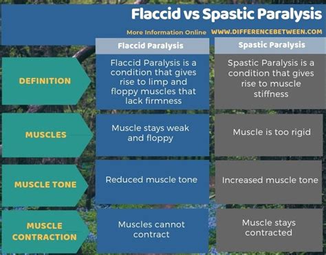 Muscle Tone Definition Medical