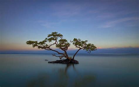 Nature Landscape Trees Water Island Horizon Reflection Clouds