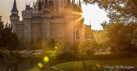 8 Unforgettable Memories To Make At Walt Disney World