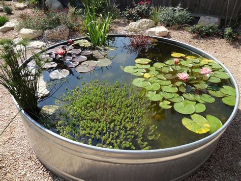 10 Awesome Container Water Garden Pots Ideas That You Can Apply At Home