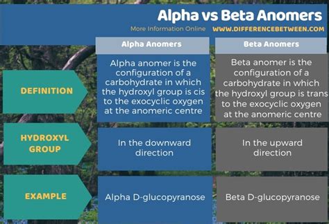 This gives two different structures. Difference Between Alpha and Beta Anomers | Compare the ...