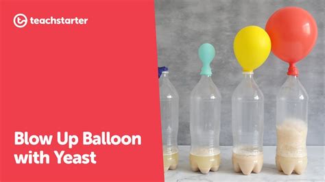 Blow Up Balloon With Yeast Yeast Science Experiment YouTube