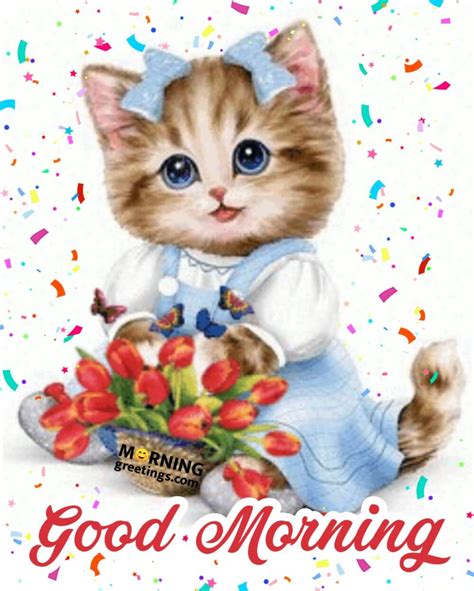 30 Cute Cat Morning Greetings Morning Greetings Morning Quotes And