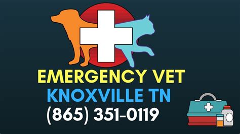 Emergency Vet Knoxville Emergency Veterinary Knoxville Tn 865 351
