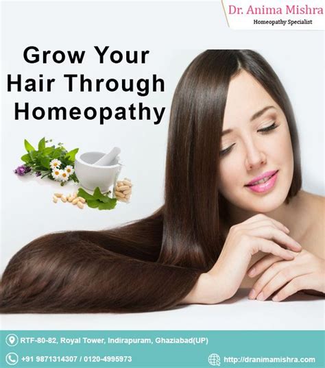 Check Out How Homeopathy Can Assist In Hair Growth To Know More Visit