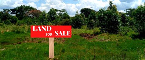 Land Buying Procedure In Kenya Shikamore Properties Ltd