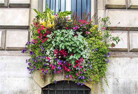 20 Amazing Window Flower Box Ideas To Light Up Your Home