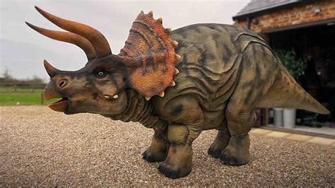Triceratops For Events Animatronic Dinosaur For Hire