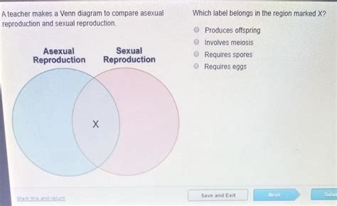 29 Asexual Vs Sexual Reproduction Venn Diagram Wiring