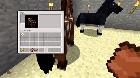 Czym Się Oswaja Lisa W Minecraft - Jak oswoić konia w Minecraft / How to tame a horse in Minecraft (PS4
