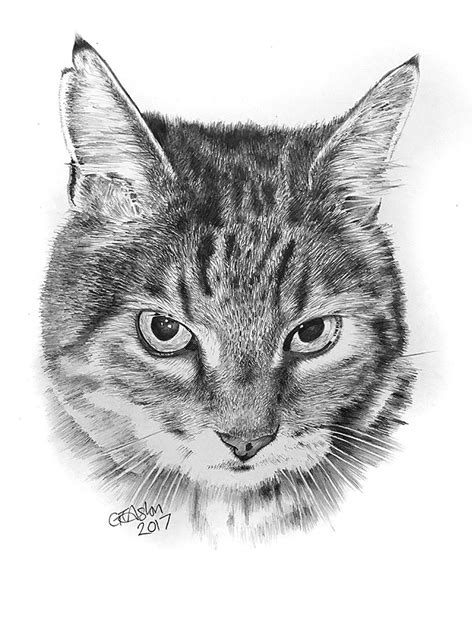 This cat drawing tutorial is a new addition to our ever growing collection of step by step drawing tutorials for all ages. Pencil portrait of a cat for a present - Garry's Pencil ...