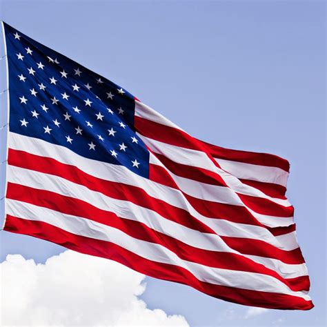 United States Of America Flag Buzz Photos