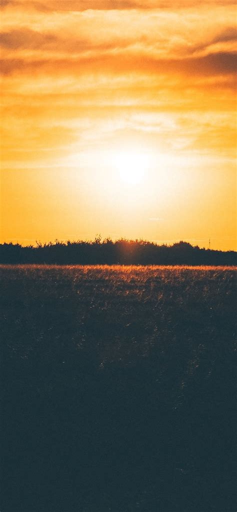 Wallpaper Sunset Grass Field 3840x2160 Uhd 4k Picture Image