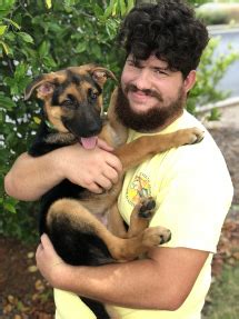 The logo is for a holistic veterinary service for dogs and cats. Huntsville/Madison AL Area Veterinarians & Staff | The Pet ...