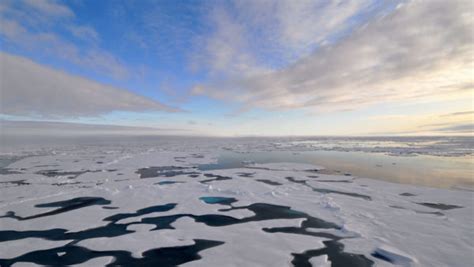 Alien Waters Neighboring Seas Are Flowing Into A Warming Arctic Ocean