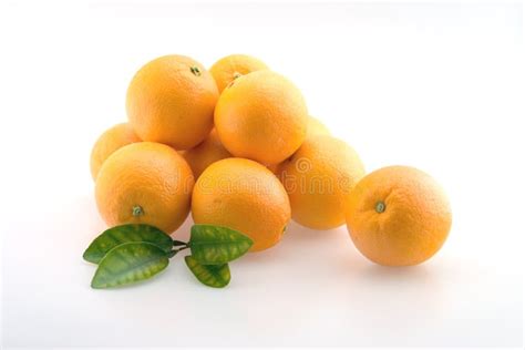 Oranges Stock Image Image Of Organic Fresh Sour Citrus 4320165
