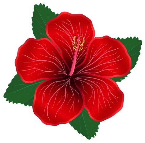 Free Red Flowers Transparent Download Free Red Flowers Transparent Png