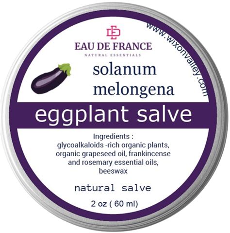 Eggplant Salve Eggplant Tincture Skin Cancer Remedy Skin Salve