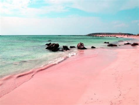 The Loveliest Caribbean Pink Sand Beaches Keycaribe Magazine