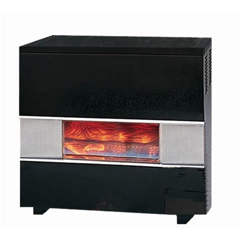 Williams 65000 Btu Natural Gas Hearth Heater With Wall Or Cabinet