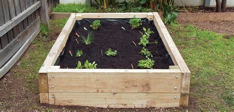 Really Straightforward Instructions To Diy A Vegetable Garden Box