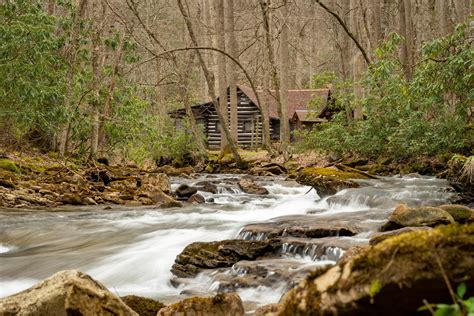 Visit West Virginias Highest Forest Elkins Randolph County Tourism