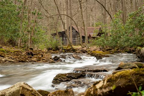 Visit West Virginia’s Highest Forest - Elkins-Randolph County Tourism