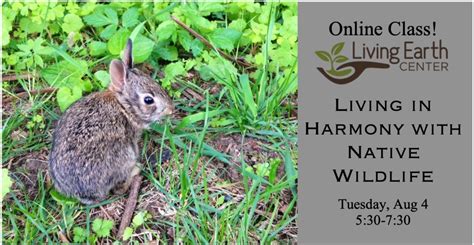 Living In Harmony With Native Wildlife Event Calendar News And Events