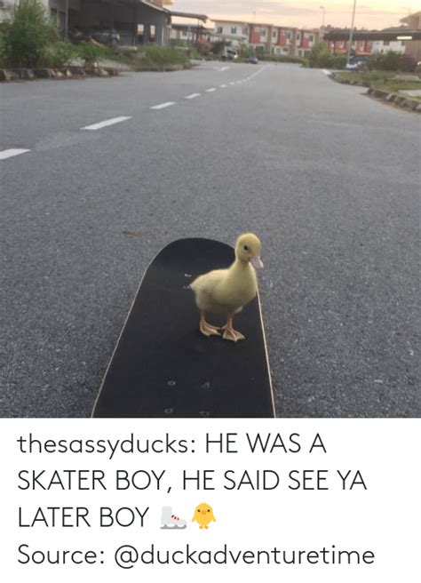 Thesassyducks He Was A Skater Boy He Said See Ya Later Boy ⛸️🐥 Source