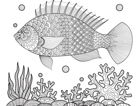 5 / 5 175 мнений. Dessin poisson coloriages été à imprimer gratuitement ...