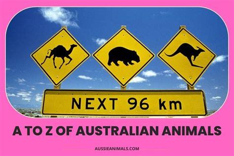 Australian Animals A Z List Aussie Animals