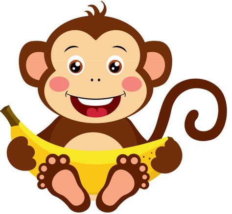 Cartoon Of A Monkey Eating Banana Illustrations Royalty Free Vector