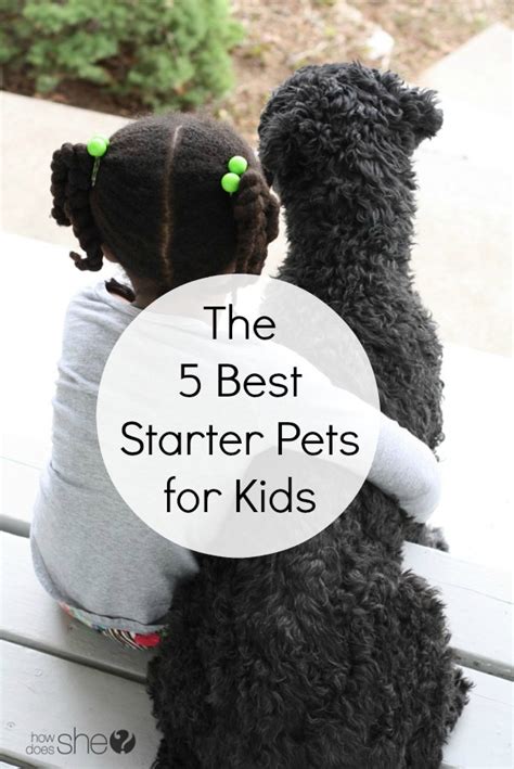 The Best Starter Pets for Kids When You're Not Sure They ...