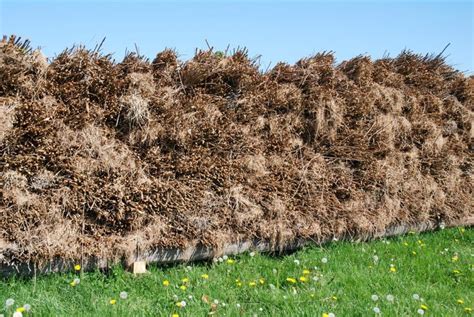 English Stick Willow Hurdle Products Somerset Willow Growers