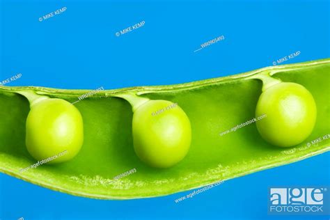 Close Up Of Peas In A Pod Stock Photo Picture And Royalty Free Image