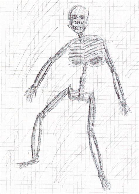 Skeleton Sketch By Donitz On Deviantart