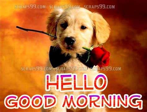 Good Morning Wishes With Dogs Pictures Images Page 8