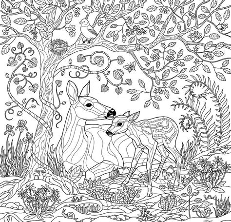 All images found here are believed to be in the public domain. Free Enchanted Forest Coloring Pages at GetDrawings | Free ...